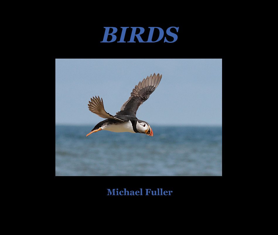 View BIRDS by Michael Fuller