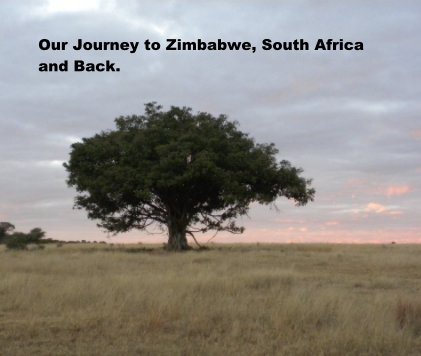 Our Journey to Zimbabwe, South Africa and Back. book cover