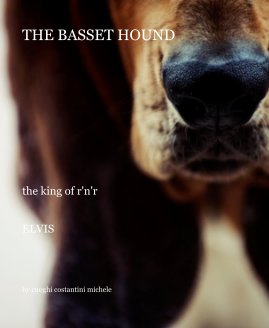 THE BASSET HOUND book cover
