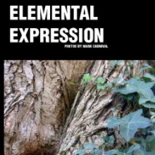 Elemental Expression book cover
