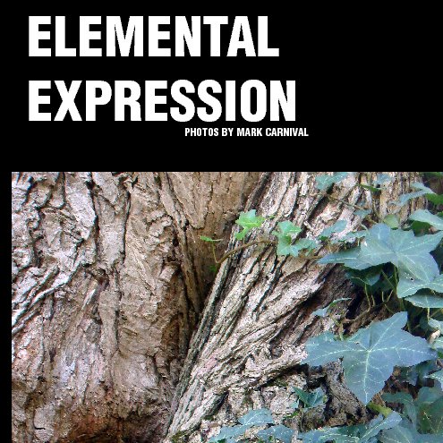 View Elemental Expression by Mark Carnival