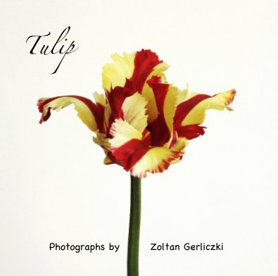 Tulip book cover