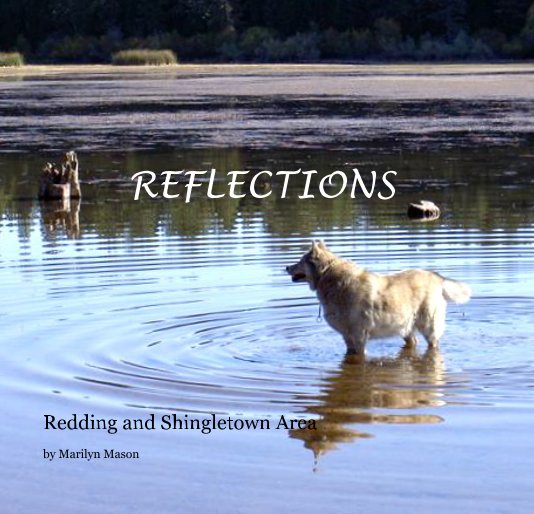 View REFLECTIONS by Marilyn Mason