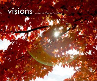 visions book cover