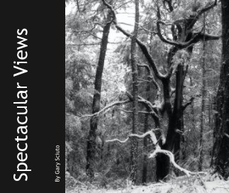Spectacular Views book cover