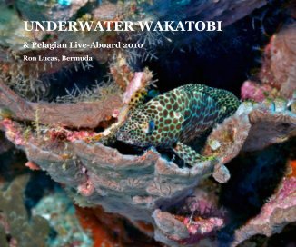 UNDERWATER WAKATOBI book cover