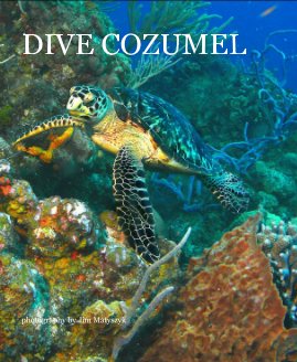 DIVE COZUMEL book cover