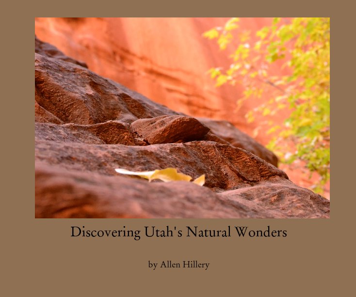 View Discovering Utah's Natural Wonders by Allen Hillery