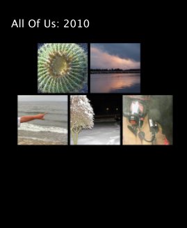 All Of Us: 2010 book cover