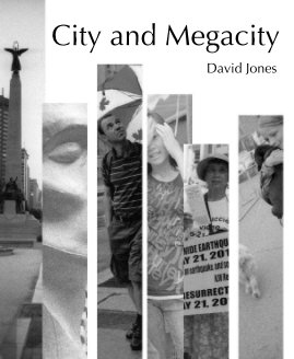 City and Megacity book cover