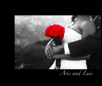Aris and Luis book cover