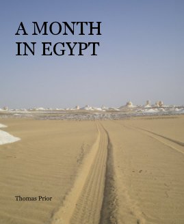 A MONTH IN EGYPT book cover