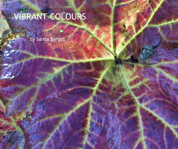 Ver VIBRANT COLOURS por Sarita Berges