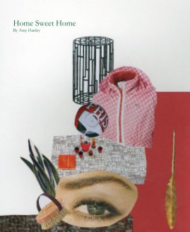 Home Sweet Home By Amy Hanley book cover