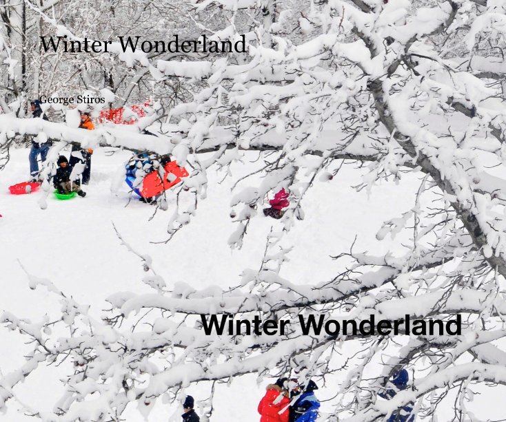 View Winter Wonderland by George Stiros