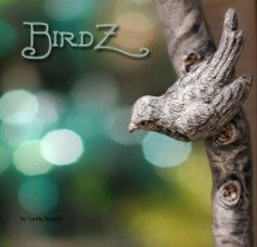 BirdZ book cover