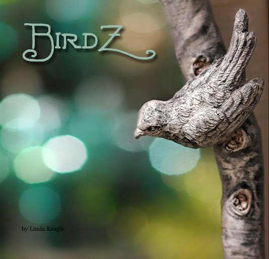 View BirdZ by Linda Keagle