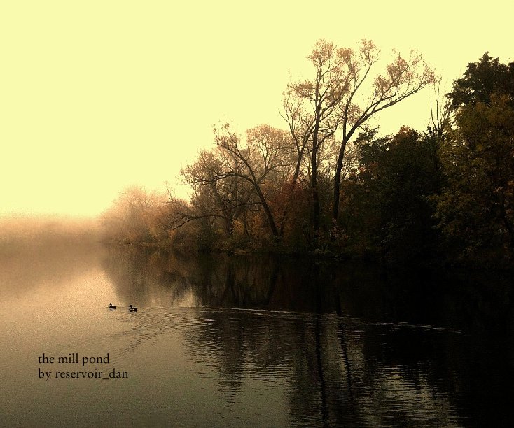 View The Mill Pond - a book of iPhoneography by reservoir_dan