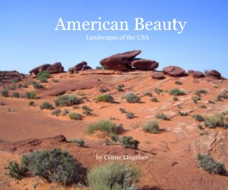 American Beauty book cover