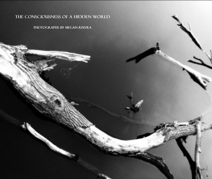 The Consciousness of a Hidden World Photographs By Megan Rivera book cover