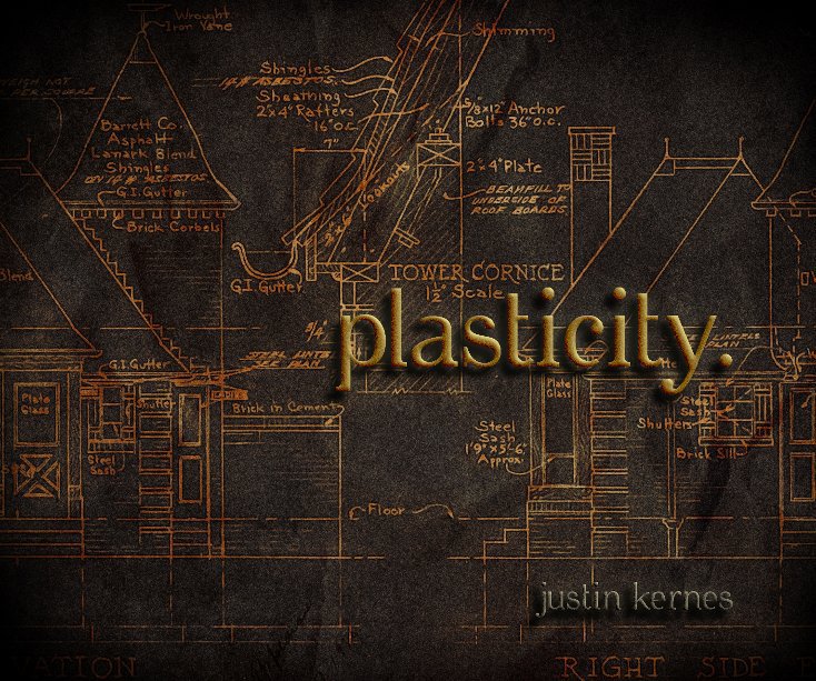 View plasticity. by Justin Kernes