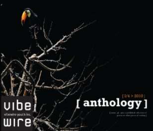 Vibewire Quarterly Anthology I book cover