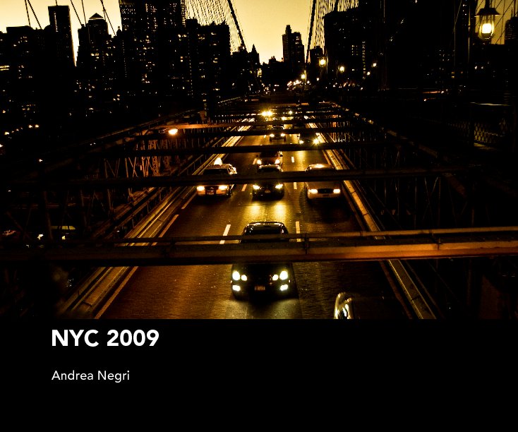 View NYC 2009 by Andrea Negri