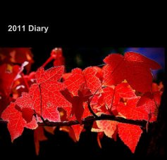 2011 Diary book cover