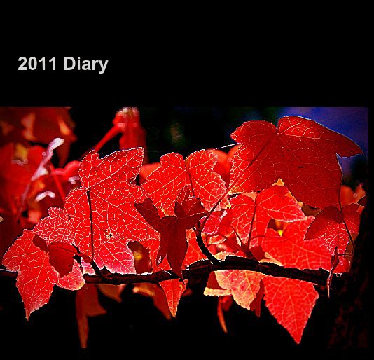 View 2011 Diary by Cosmic