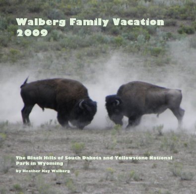 Walberg Family Vacation 2009 book cover