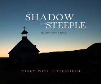 In the Shadow of the Steeple book cover