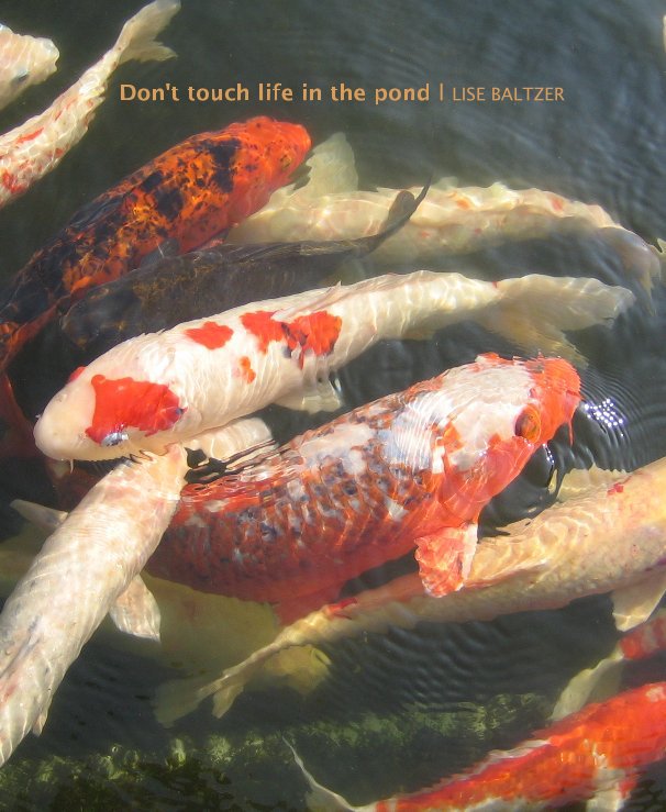 View Don't touch life in the pond by Lise Baltzer