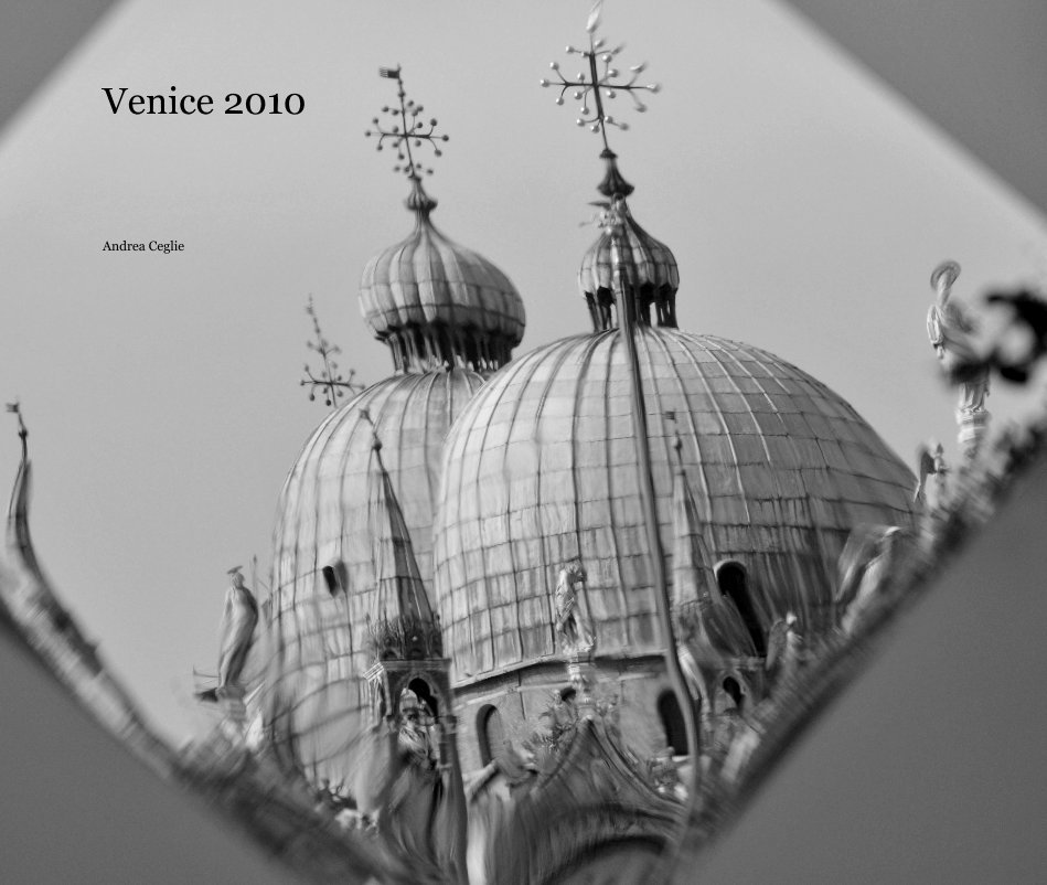 View Venice 2010 by Andrea Ceglie