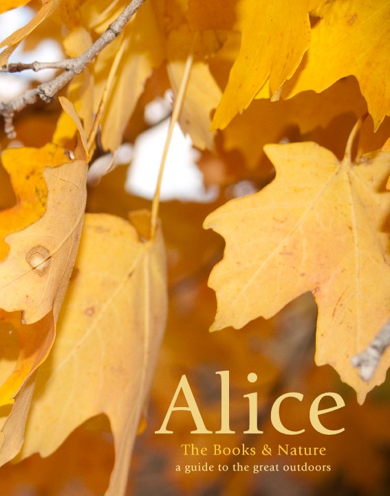 View Alice Catalog by Jade Gelskey