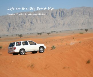 Life in the Big Sand Pit book cover
