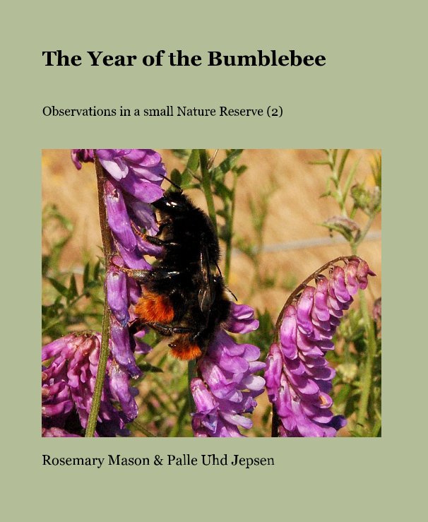 View The Year of the Bumblebee by Rosemary Mason & Palle Uhd Jepsen