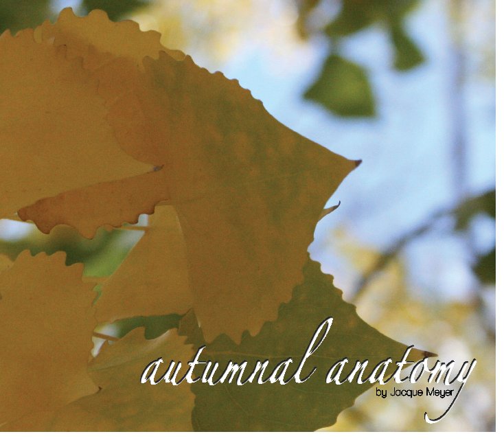 View Autumnal Anatomy by Jacque Meyer