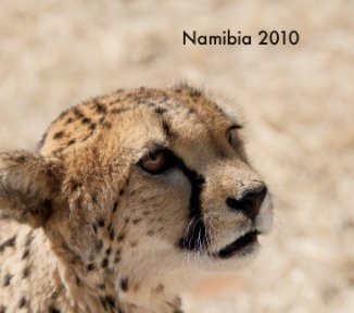 Namibia 2010 book cover