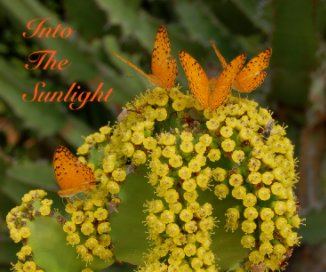 Into 
The 
Sunlight book cover
