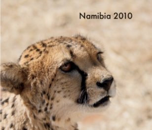 Namibia 2010 (Std Paper Soft Cover) book cover