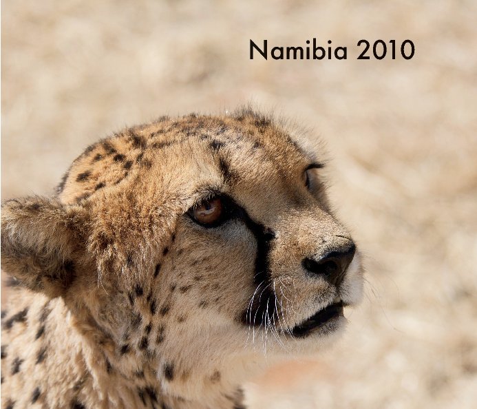 View Namibia 2010 (Std Paper Soft Cover) by Ashley England