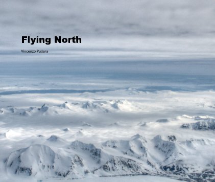 Flying North book cover
