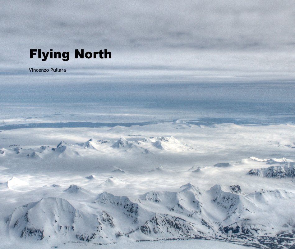 View Flying North by Vincenzo Pullara