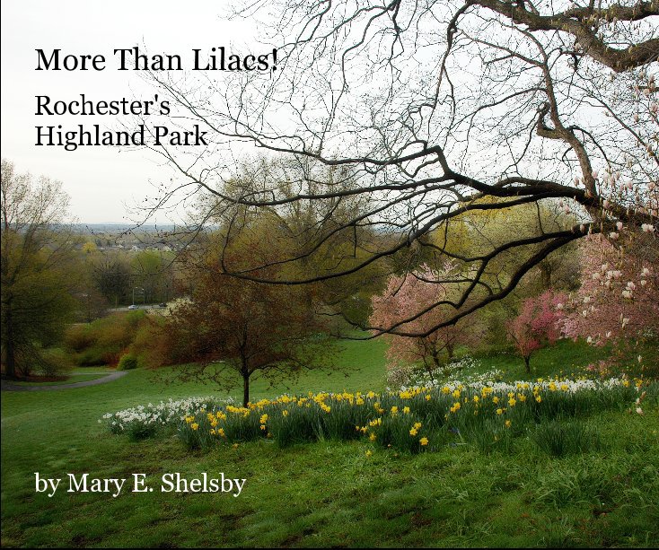 Ver More Than Lilacs! por Mary E. Shelsby
