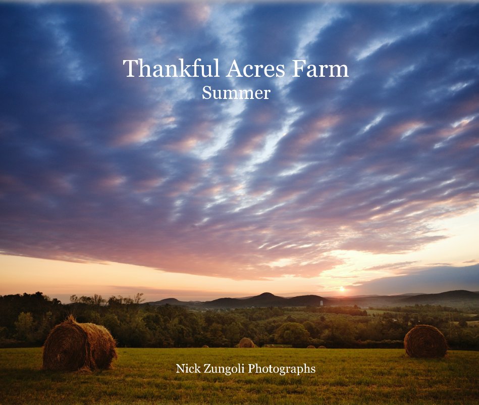 View Thankful Acres Farm Summer by Nick Zungoli Photographs
