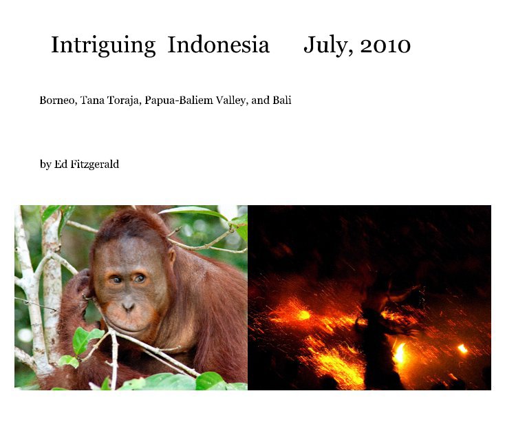 View Intriguing Indonesia July, 2010 by Ed Fitzgerald