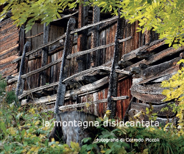 View La Montagna Dis-incantata by Corrado Piccoli