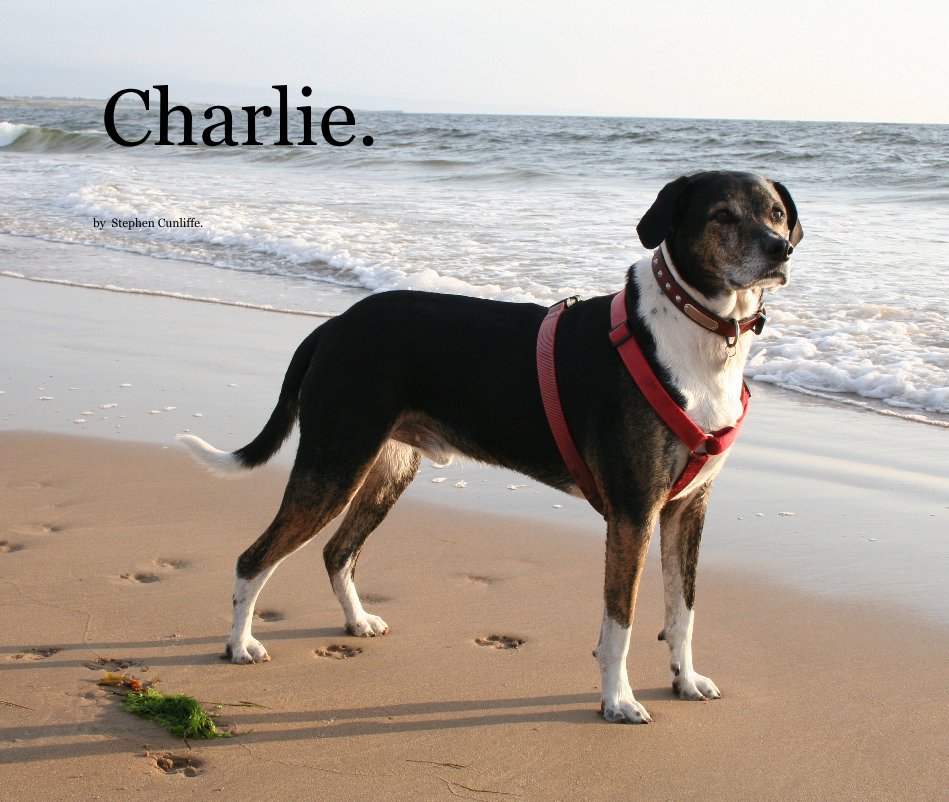 View Charlie. by Stephen Cunliffe.