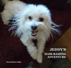 JEDDY'S HAIR-RAISING ADVENTURE book cover