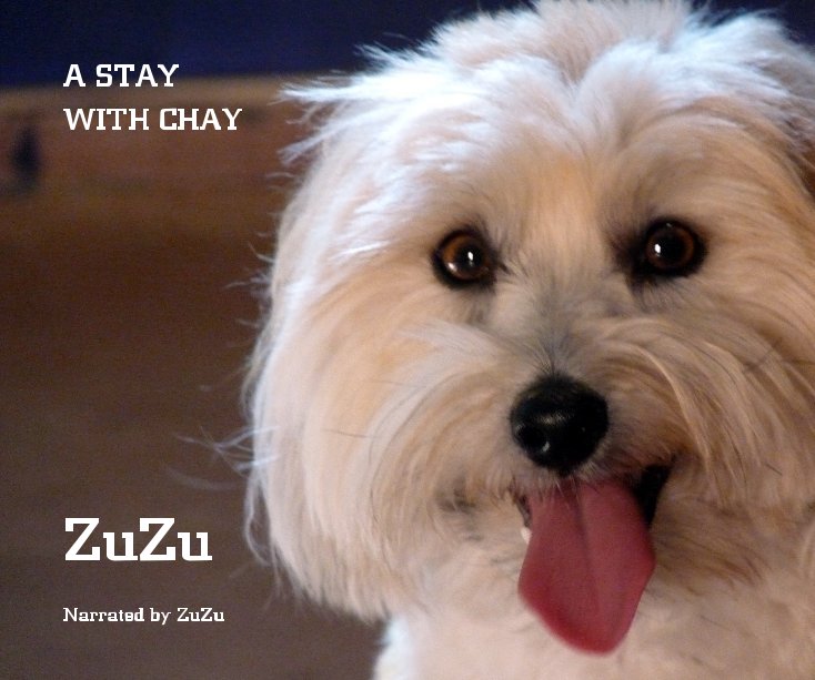 View A STAY WITH CHAY by Narrated by ZuZu
